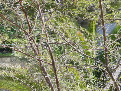 寻金记之金蛤封印完整版,寻金记全集在线观看