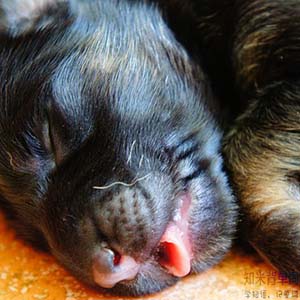 世界睡眠日您睡得还好吗,世界睡眠日揭秘聪明的人都睡得少