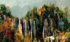 假如重庆是一个班级,按重庆区县划分班级职务