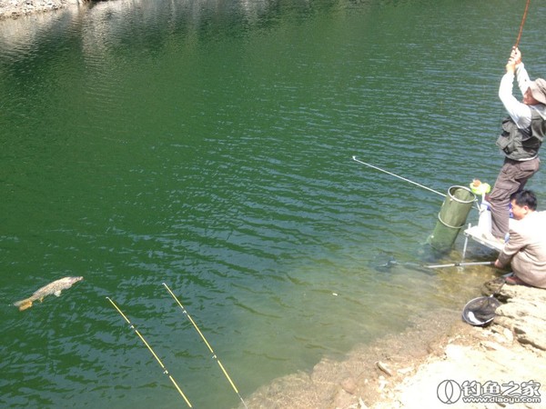 探钓野生鱼视频,探钓野生水库