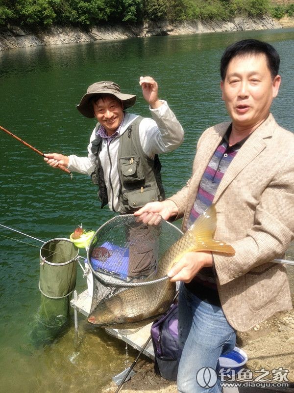 探钓野生鱼视频,探钓野生水库