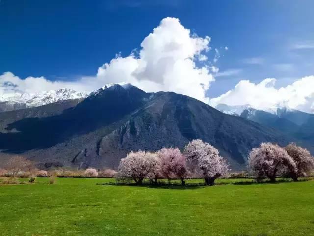 西藏林芝行一路风景如画,林芝最美小镇