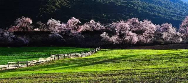 西藏林芝行一路风景如画,林芝最美小镇