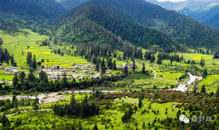 醉美西藏林芝视频,醉美林芝完整版