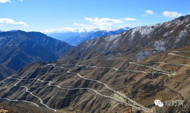 醉美西藏林芝视频,醉美林芝完整版