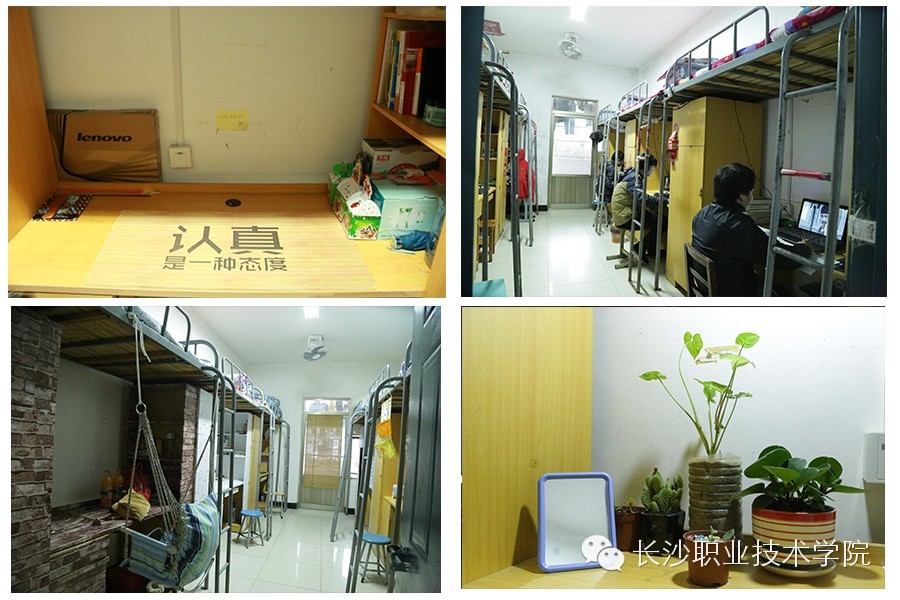 长职故事第99期在雷锋故里上大学，是一种怎样的体验？