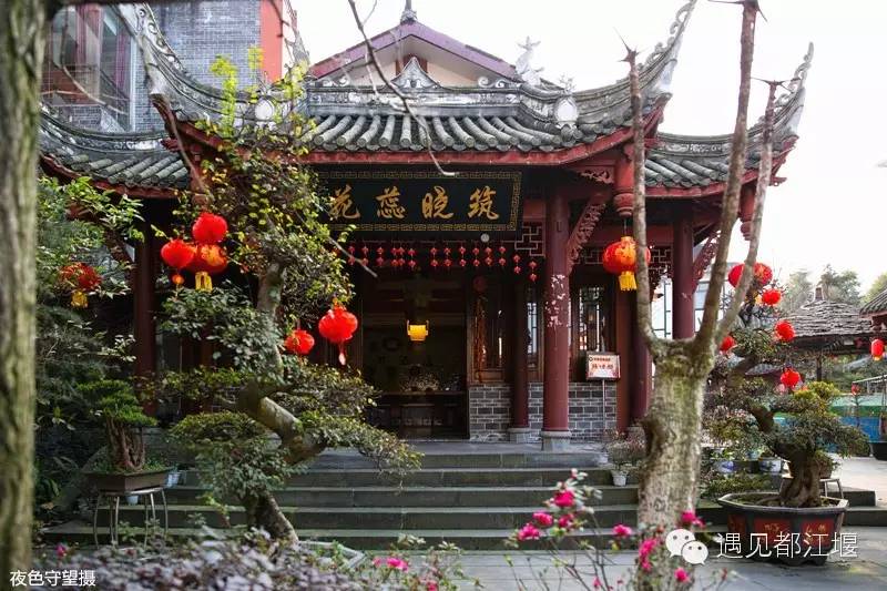 走去新丰骑车赏红枫泡温泉品美食,走温江田园去观赏美好生活