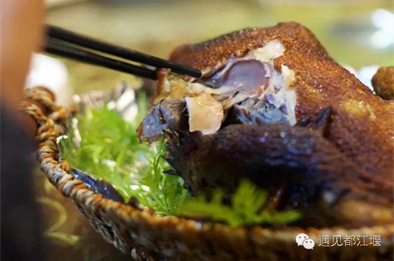 走去新丰骑车赏红枫泡温泉品美食,走温江田园去观赏美好生活