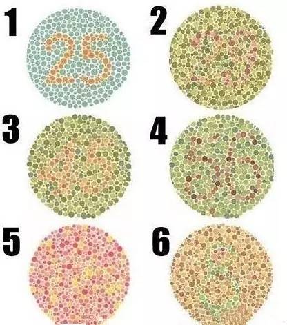 老板：“今天我要请假去神灵寨坐花轿，赢终身免门票”！请批准！