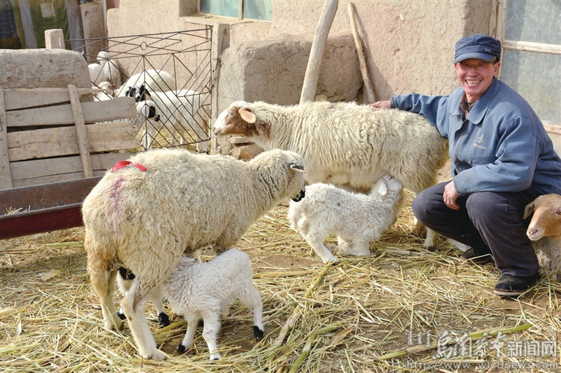 促进农民增收农业增效,商都县乡村振兴最新情况