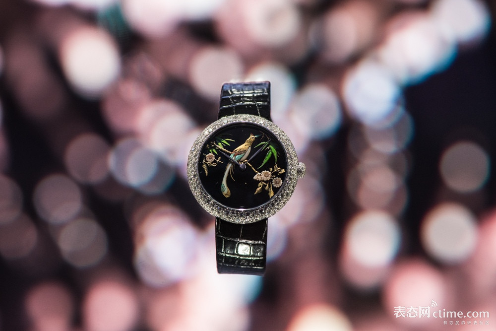 最适合女同胞们不经意转发给老公/男朋友的图集