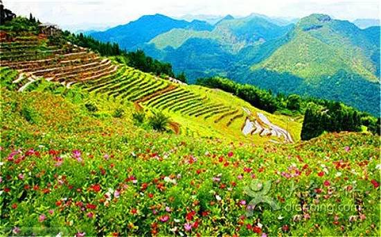 福建最穷的城市排名,福建最富的五个市排名第一是哪里