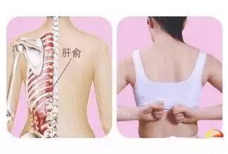 疏肝理气的饮食调理,疏肝理气健脾胃补气血