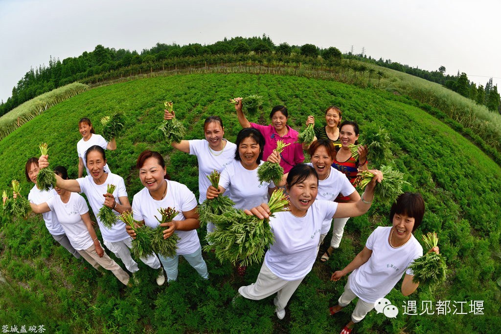 走去新丰骑车赏红枫泡温泉品美食,走温江田园去观赏美好生活