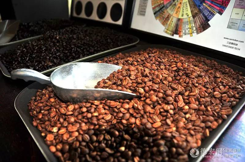 你知道猫屎咖啡的由来吗,传说中的猫屎咖啡