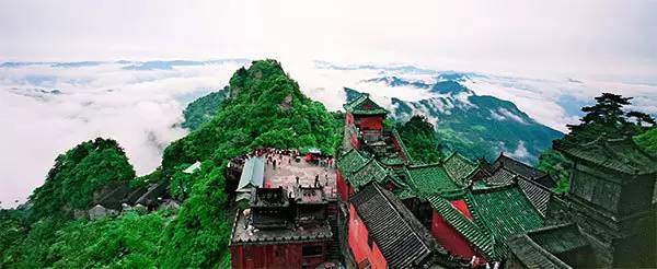 循香识味赏景尝鲜｜看，鄂西北的山珍催促着我们追寻食物的脚步