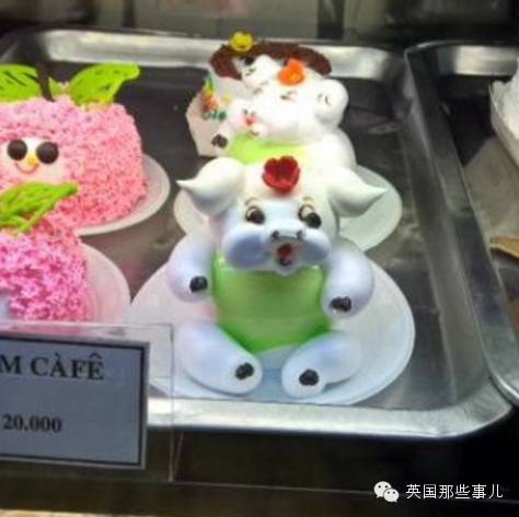 他骑自行车打造出这部横跨亚欧大陆的甜品集... 睡前千万不要点