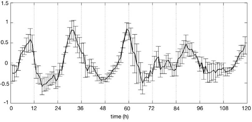 荧光蘑菇为什么发光,荧光蘑菇有什么用