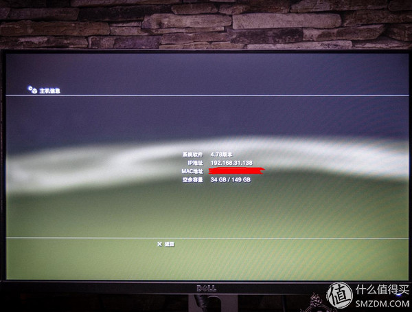 老树发新芽完整视频,老树发新枝技术视频