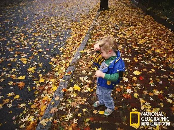 中美旅游年持续几天,2022年中美旅游几月份开始