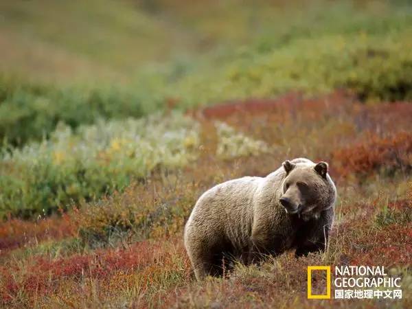 中美旅游年持续几天,2022年中美旅游几月份开始