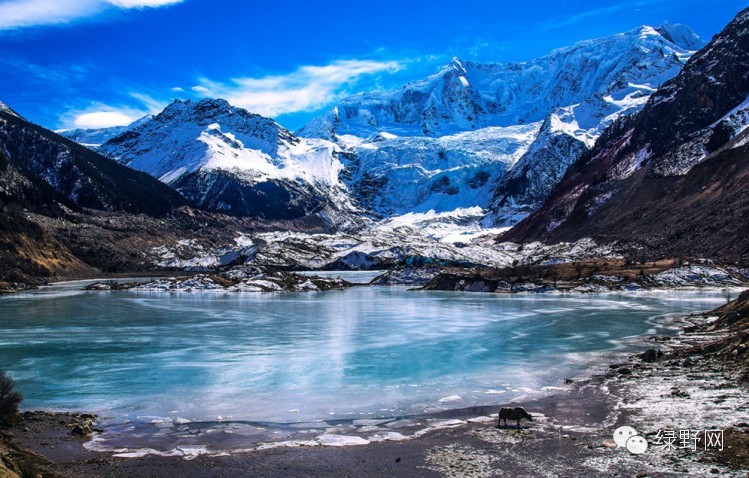 醉美西藏林芝视频,醉美林芝完整版