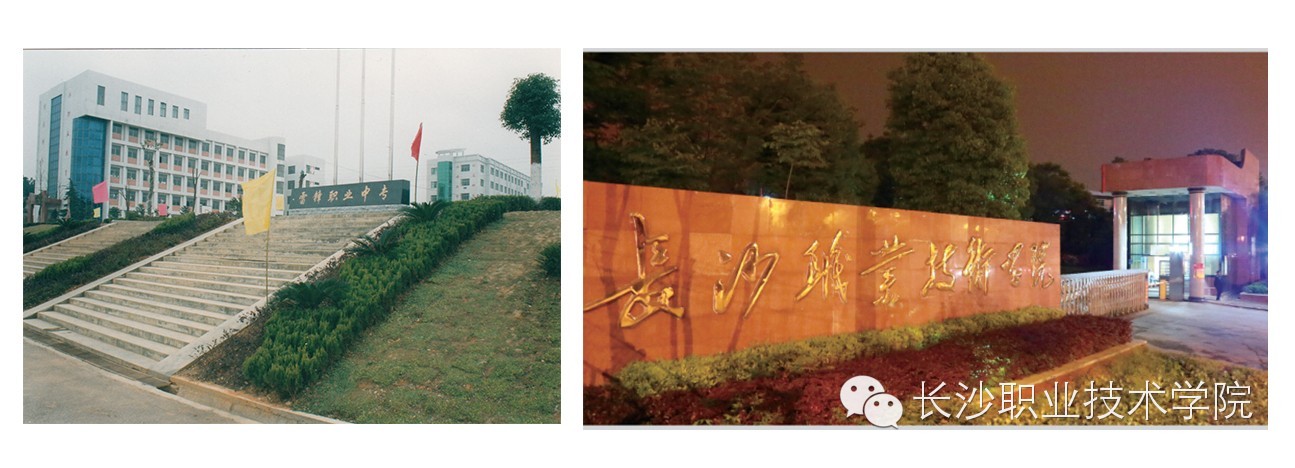 长职故事第99期在雷锋故里上大学，是一种怎样的体验？