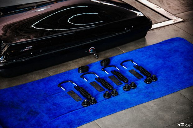 小蚂蚁进化变异,小蚂蚁变魔术