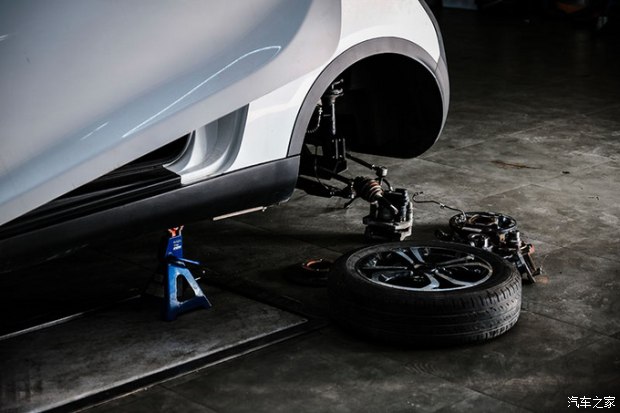 小蚂蚁进化变异,小蚂蚁变魔术