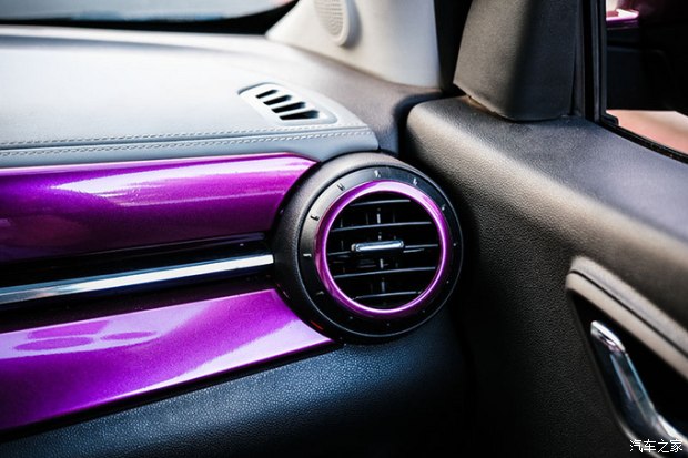 小蚂蚁进化变异,小蚂蚁变魔术