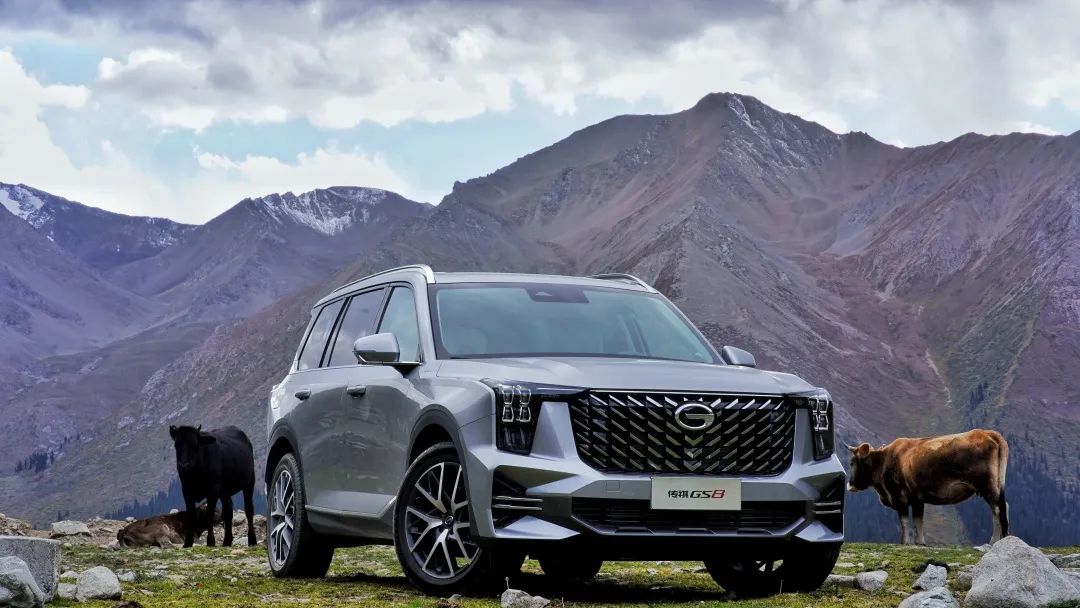 流量密码掌握得非常到位,成功掌握流量密码