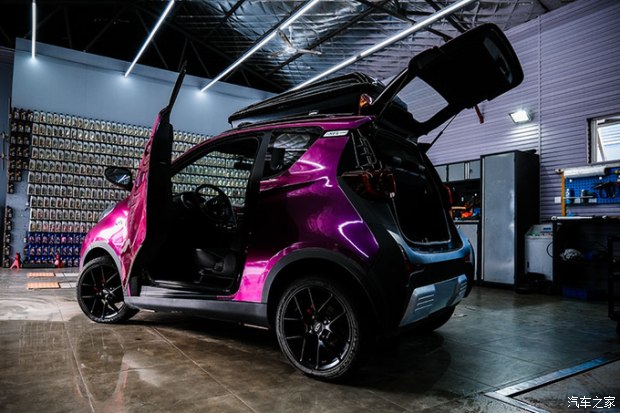 小蚂蚁进化变异,小蚂蚁变魔术