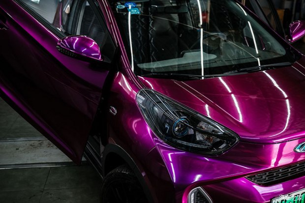 小蚂蚁进化变异,小蚂蚁变魔术