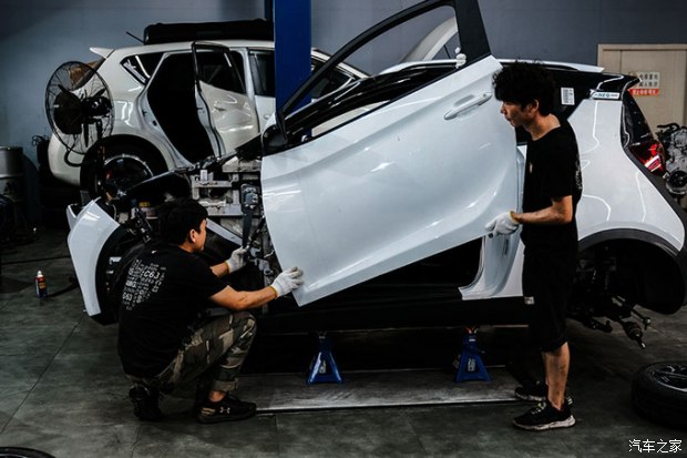 小蚂蚁进化变异,小蚂蚁变魔术