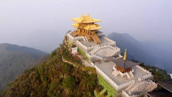 循香识味赏景尝鲜｜看，鄂西北的山珍催促着我们追寻食物的脚步