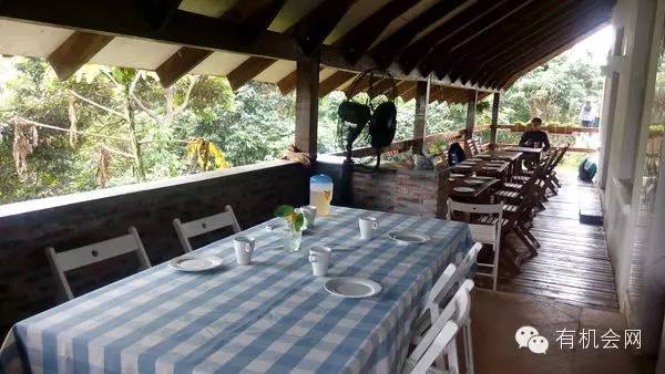 疗愈人的慧灵农场:一群很简单的人,在这里快乐、自在地生活