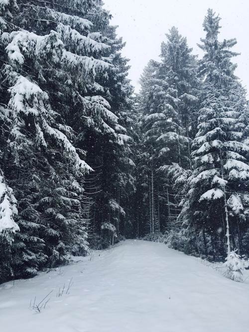 那滋味德国经典黑森林蛋糕,吃黑森林蛋糕完整版
