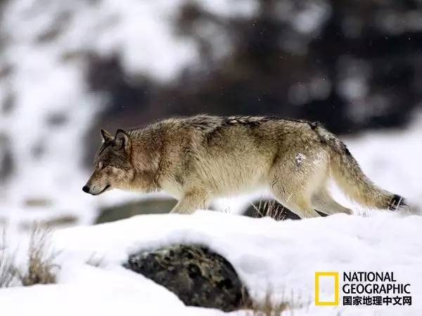 中美旅游年持续几天,2022年中美旅游几月份开始