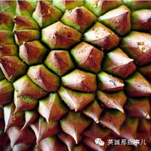 他骑自行车打造出这部横跨亚欧大陆的甜品集... 睡前千万不要点