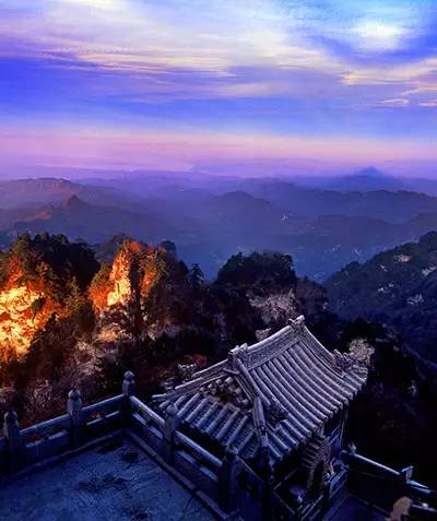 循香识味赏景尝鲜｜看，鄂西北的山珍催促着我们追寻食物的脚步