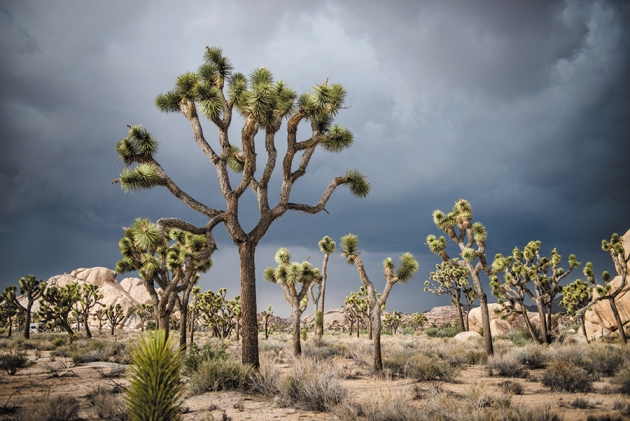 美建种子库用于复活试验