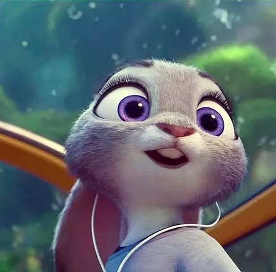 疯狂动物园20种隐藏动物图片,疯狂动物城里女明星原型