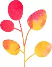 路边停车公众号缴费不交会怎么样,公众自助泊车可以不交费吗