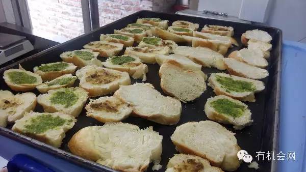 疗愈人的慧灵农场:一群很简单的人,在这里快乐、自在地生活