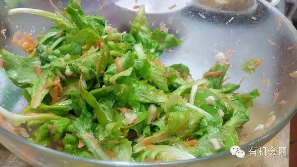 疗愈人的慧灵农场:一群很简单的人,在这里快乐、自在地生活