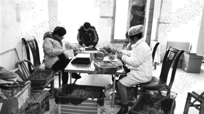 铁皮石斛铺就村民致富路,铁皮石斛助力农民增收致富