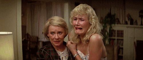 北仑区最贵的幼儿园,宁波北仑最贵的学校