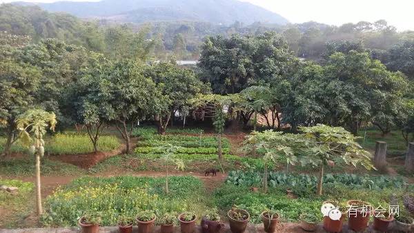 疗愈人的慧灵农场:一群很简单的人,在这里快乐、自在地生活