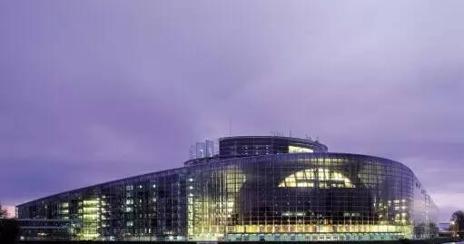 杀鸡取鸡宝价值400万,女子杀鸡时意外收获375克重的鸡宝