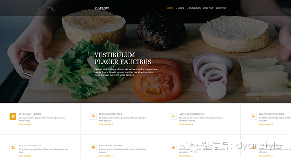 免费的h5模板app,h5模板免费做的app